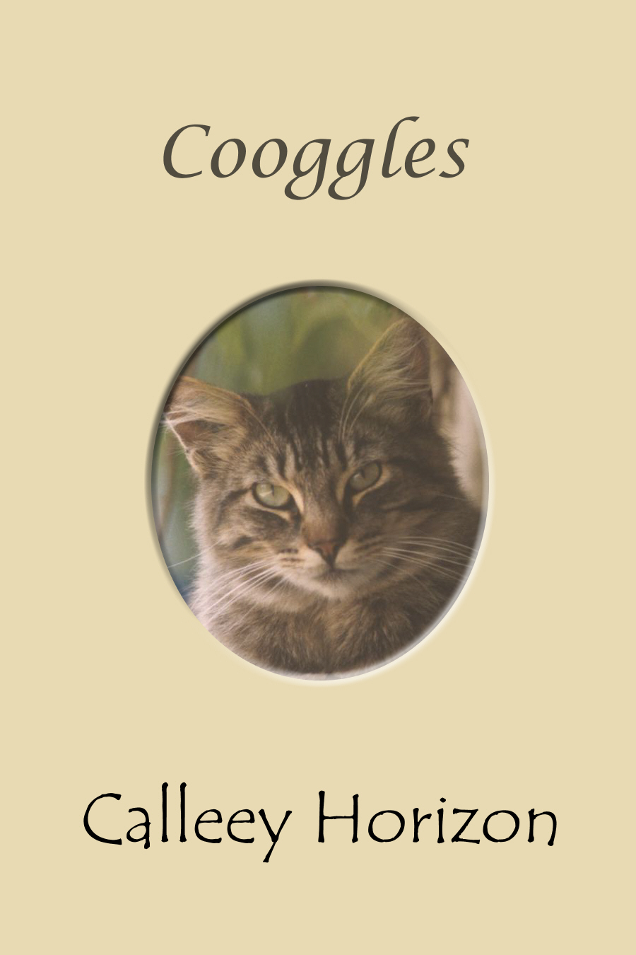 Cooggles Front Cover